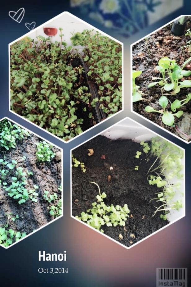 10385489_1542634009285079_6588311678179384330_n