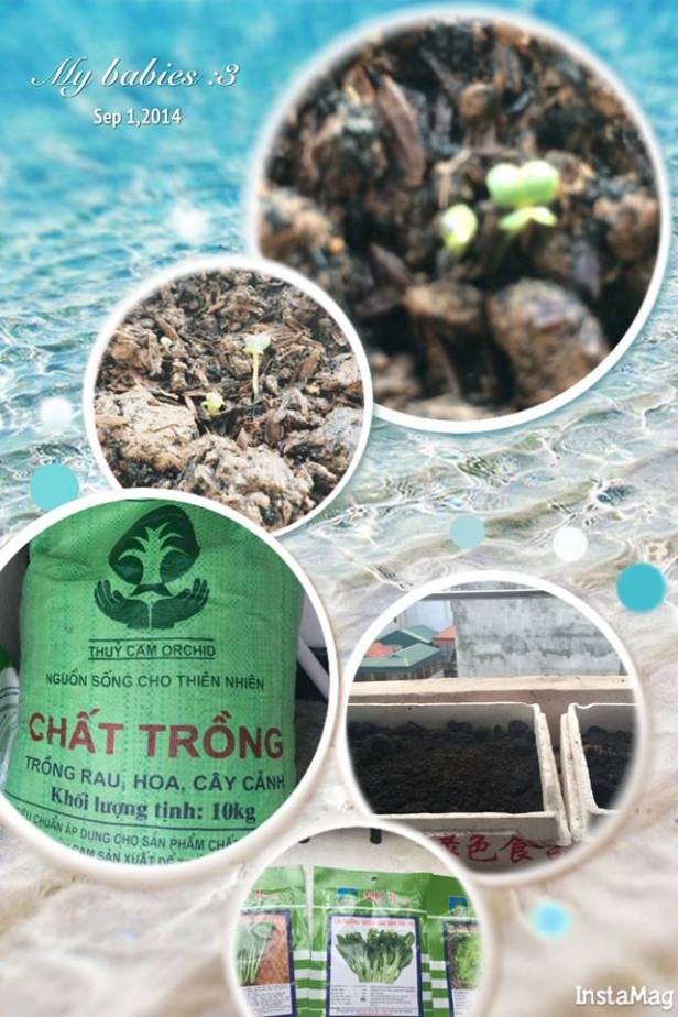 10646795_1528563067358840_8605025187545647837_n