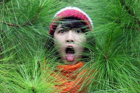 1380750_1422645204620273_1617408822_n