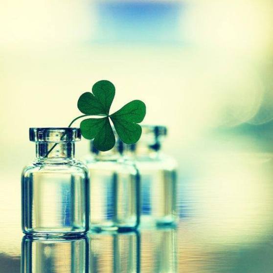 1381908_1422645531286907_296140484_n