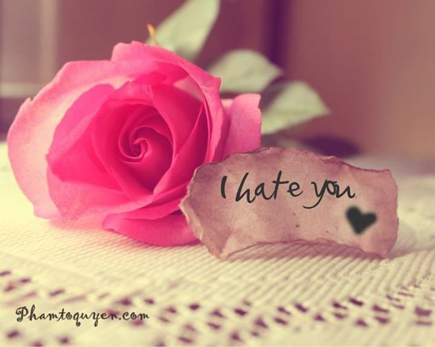 1383998_1427163164168477_501051388_n