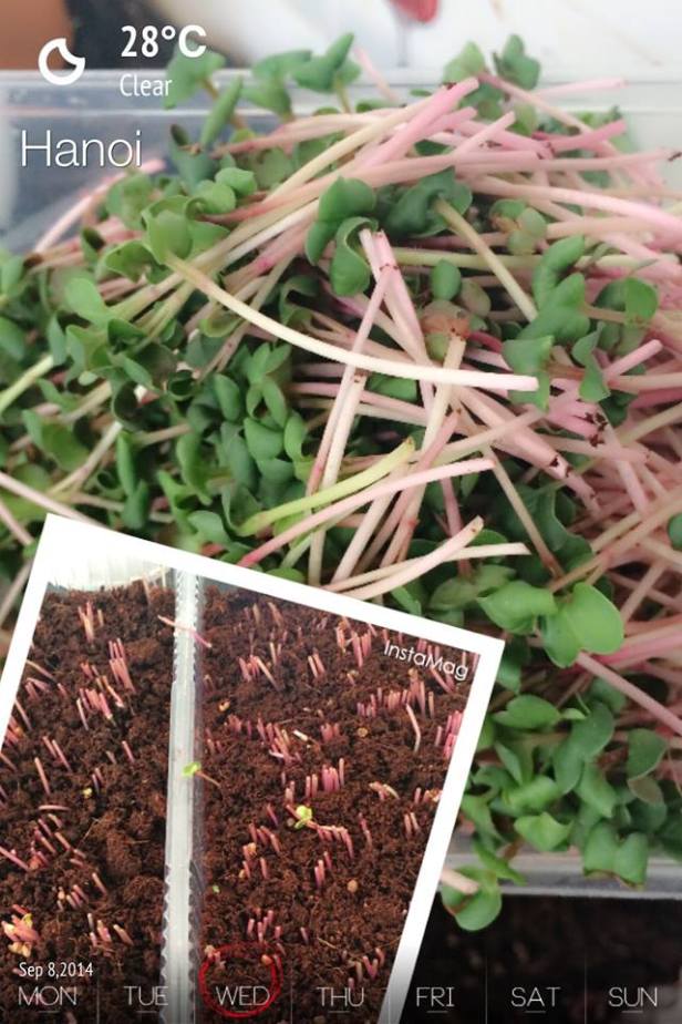 10516885_1532858206929326_1939408712860500553_n