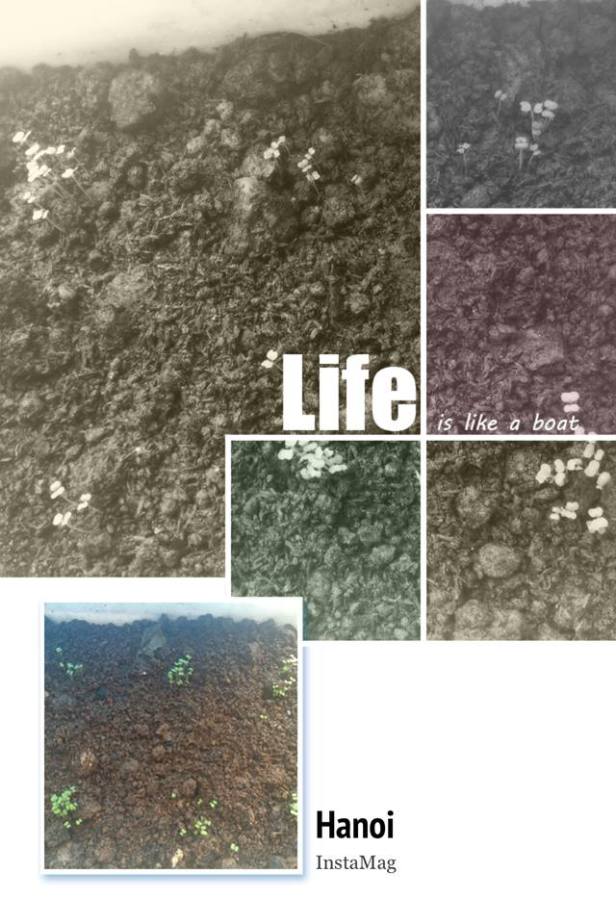 10532475_1530022727212874_1021034974462813881_n