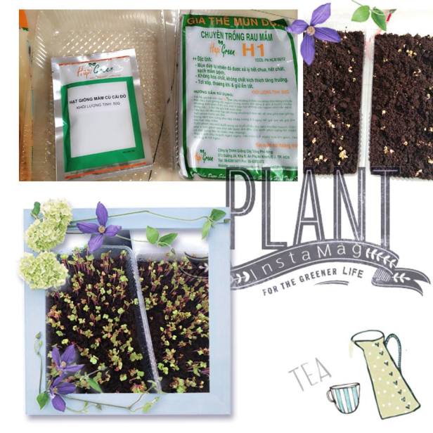 10636226_1531495550398925_841162360148466296_n