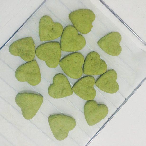 10801878_1577945765753903_4458298508919347607_n