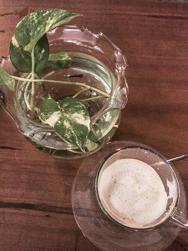 12002255_1664785403736605_5402438091566856200_n