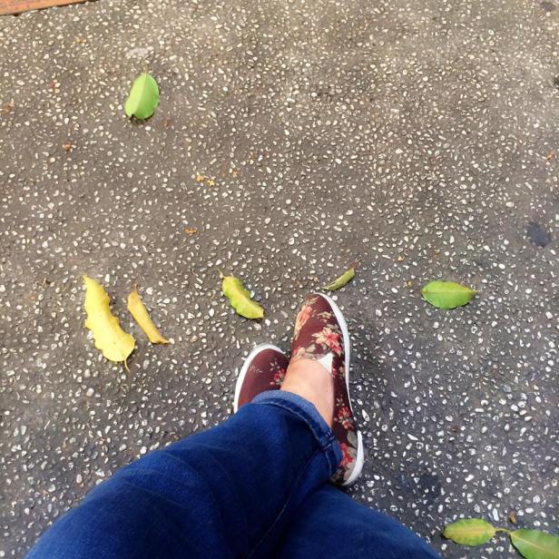 12042626_1666164623598683_9075093948253194934_n