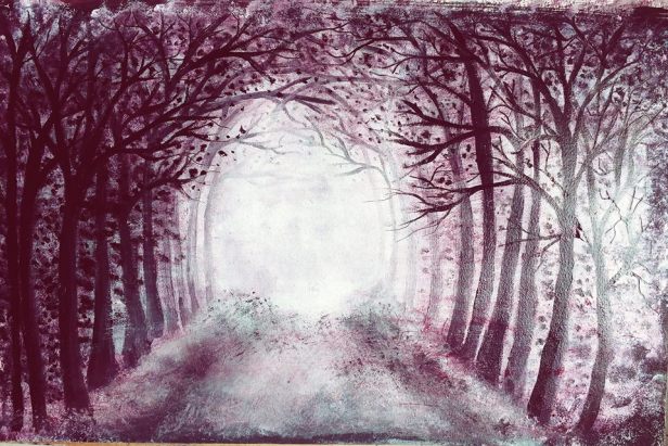 14993343_1814134358801708_7256193784836985656_n