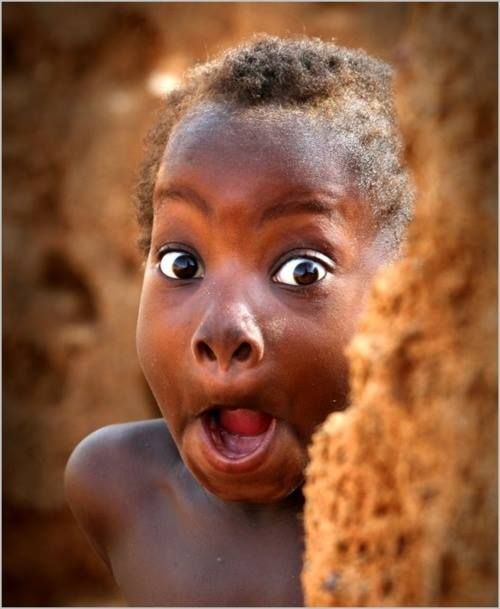 3f04882897cc24e531b4f9bb8bdea013